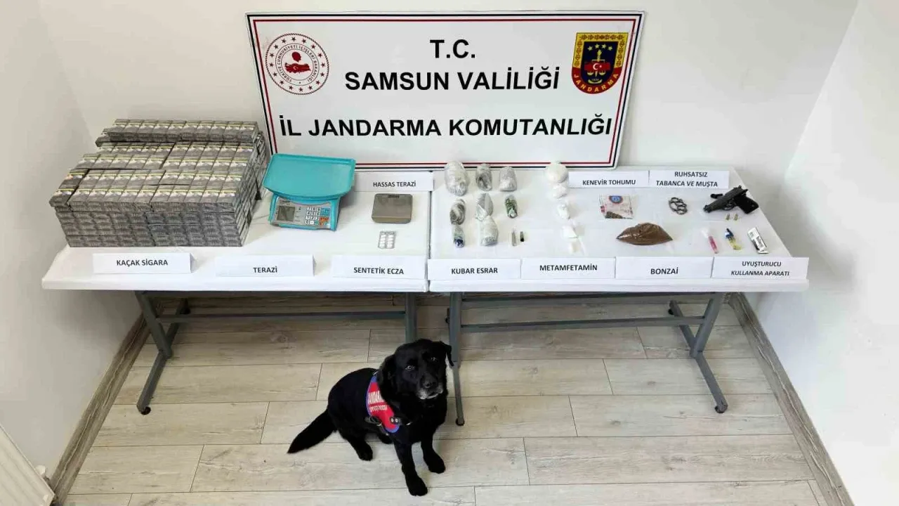 Samsun’da jandarma ekipleri çok sayıda uyuşturucu madde ele geçirdi – Ordu Olay Gazetesi