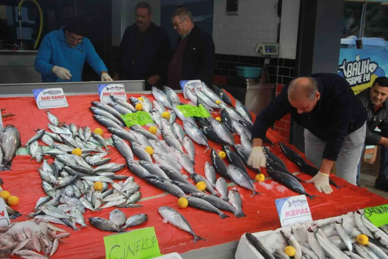 Hava şartları balık fiyatlarını etkiledi – Ordu Olay Gazetesi