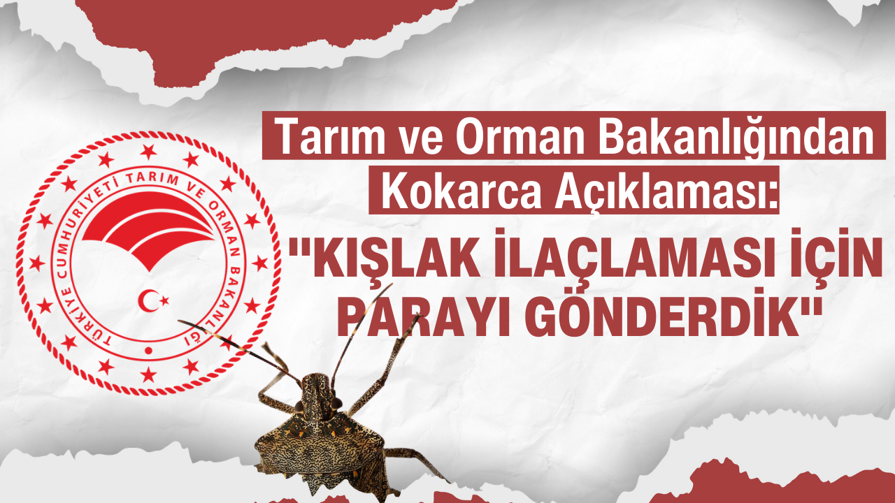 Tarım ve Orman Bakanlığından Kokarca Açıklaması: "Kışlak İlaçlaması İçin Parayı Gönderdik"