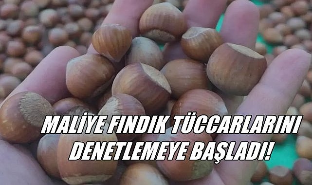 Fındık Tüccarlarına İnceleme; Maliye Müfettişleri İnceleme Başlattı – GÜNDEM