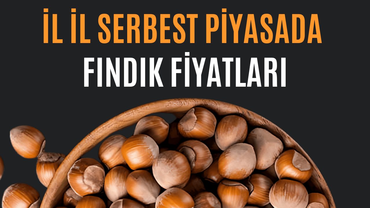 İl İl Serbest Piyasada Fındık Fiyatları – Ordu Olay Gazetesi