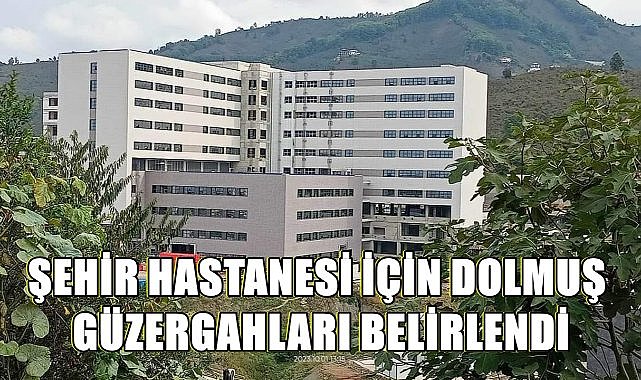 Ordu Şehir Hastanesi İçin Dolmuş Güzergahları Belirlendi – GÜNDEM