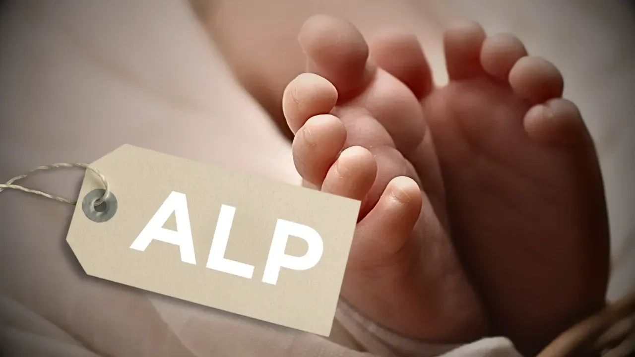 Alp Ne Demek ve Alp İsminin Sözlük Anlamı Nedir? Özellikleri, Kökeni, Analizi ve Ebced Değeri – Ordu Olay Gazetesi