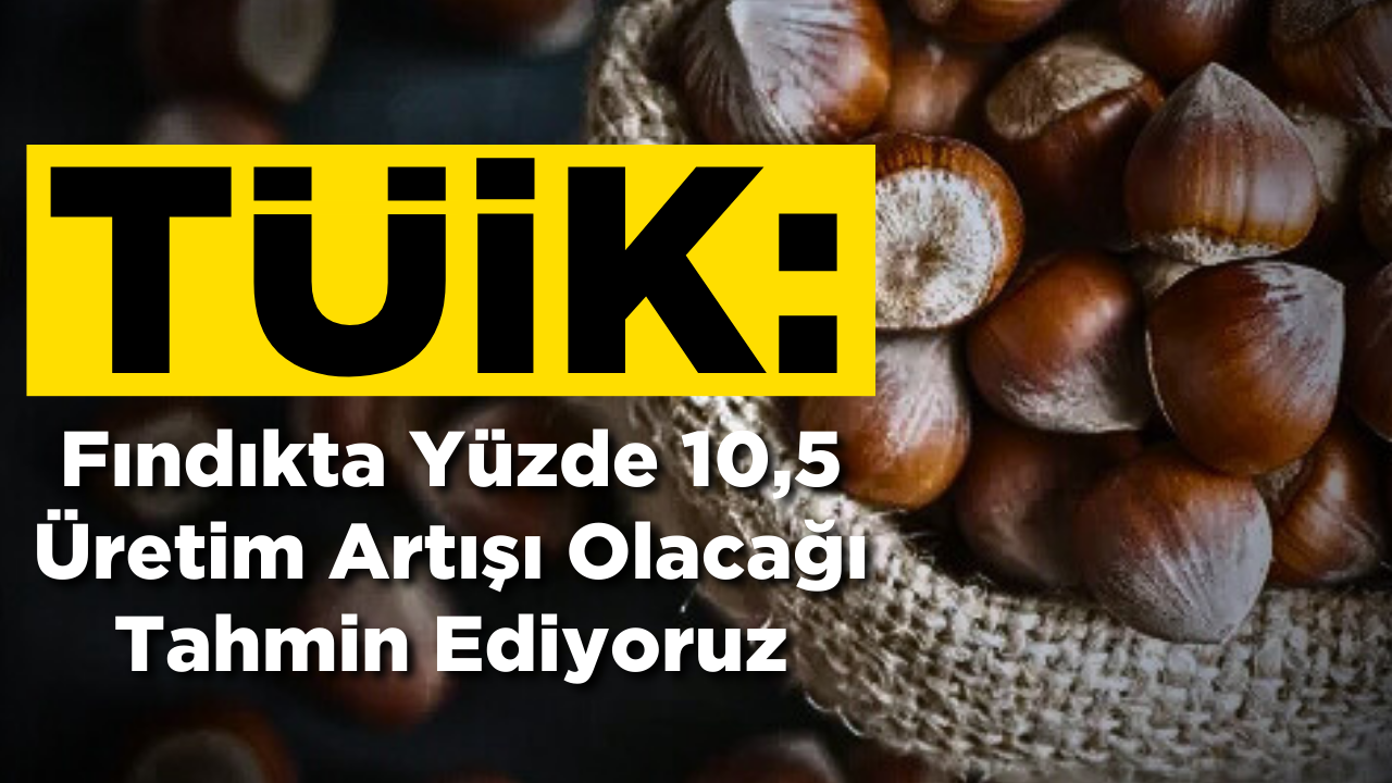 Fındıkta Yüzde 10,5 Üretim Artışı Olacağı Tahmin Ediyoruz – Ordu Olay Gazetesi