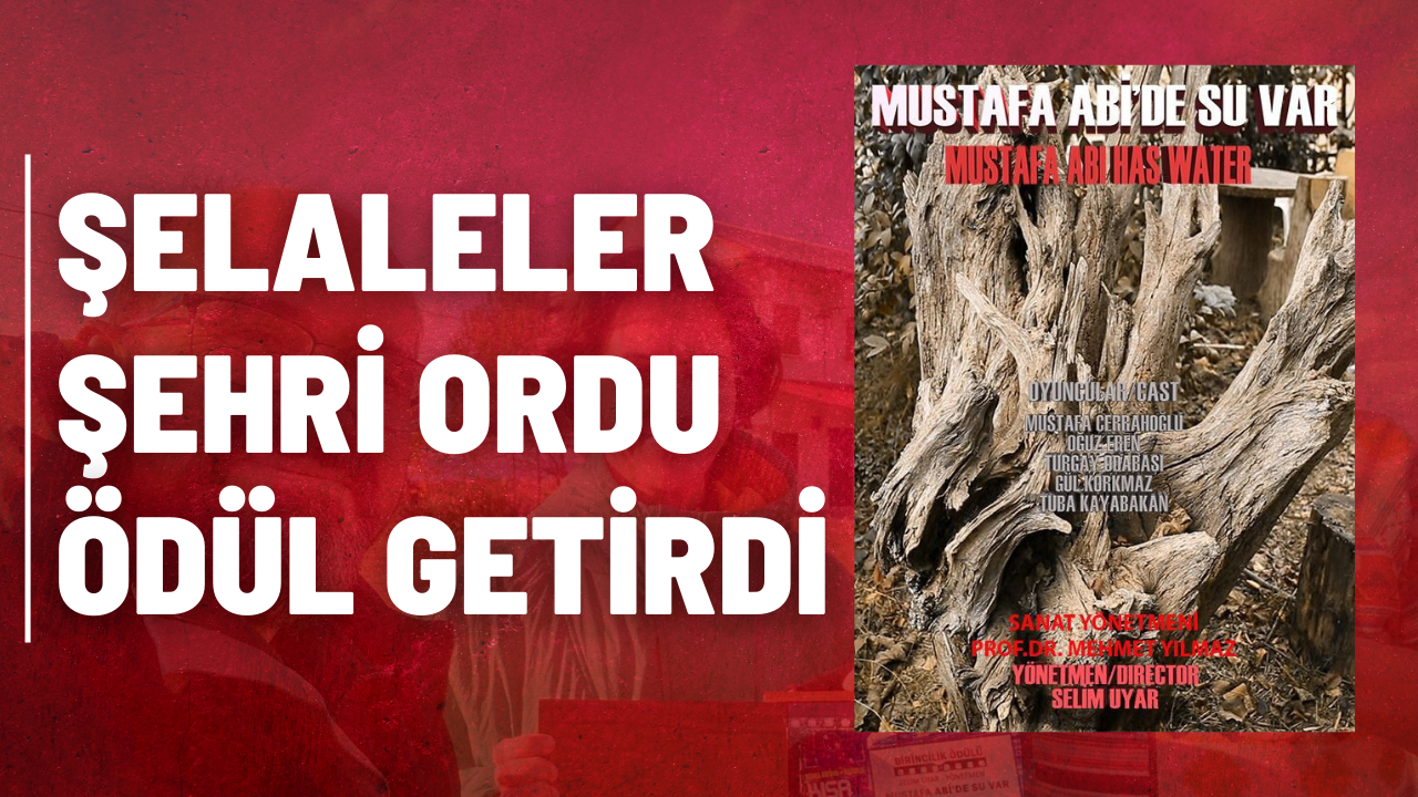 Şelaleler Şehri Ordu Ödül Getirdi – Ordu Olay Gazetesi