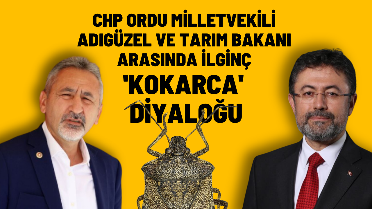 CHP Ordu Milletvekili Adıgüzel ve Tarım Bakanı Arasında İlginç ‘Kokarca’ Diyaloğu – Ordu Olay Gazetesi