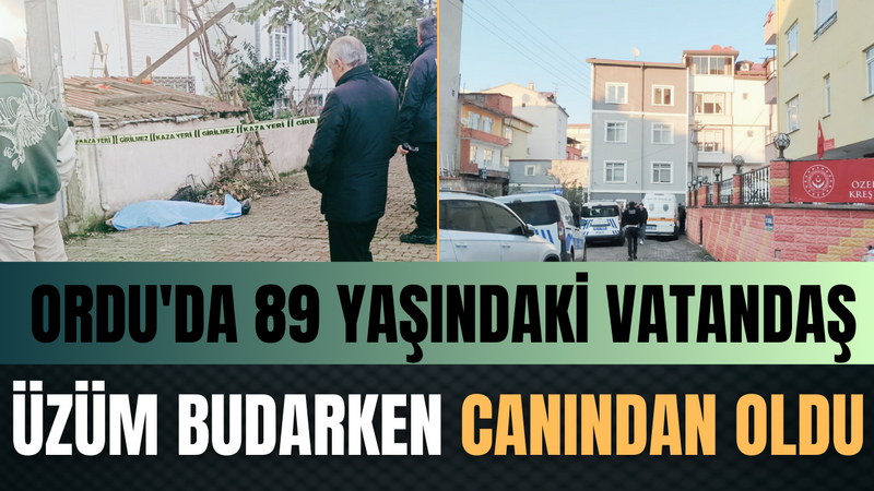 Ordu’da 89 Yaşındaki Vatandaş Üzüm Budarken Canından Oldu – Ordu Olay Gazetesi