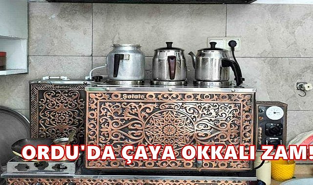 Ordu’da Çaya Yüzde 50 Zam; 1 Bardak Çayın Fiyatı Belli Oldu – GÜNDEM