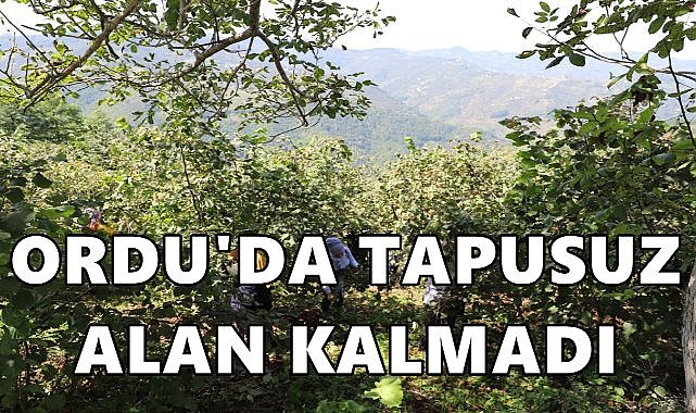 Ordu’da Tapusuz Alan Kalmadı! – GÜNDEM