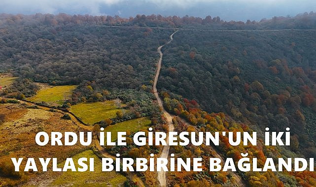 Ordu İle Giresun’un İki Yaylası Birbirine Bağlandı – GÜNDEM