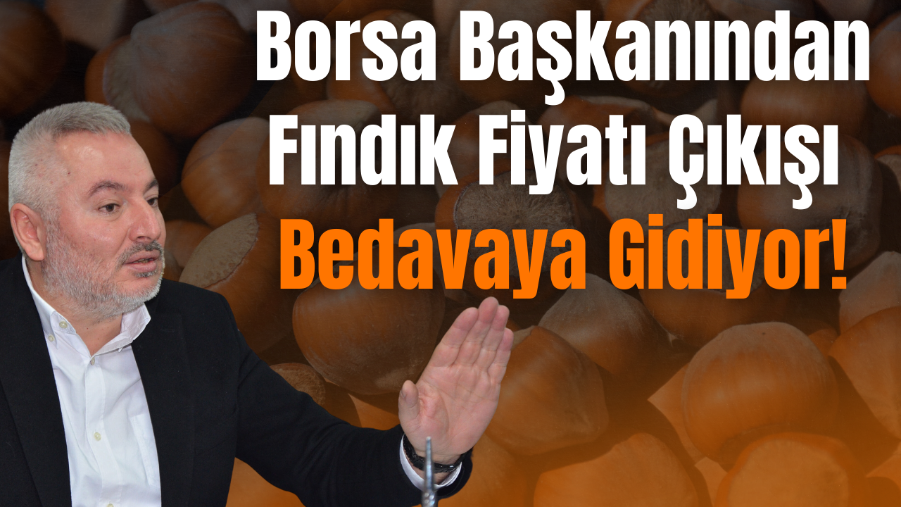 Borsa Başkanından Fındık Fiyatı Çıkışı Bedavaya Gidiyor! – Ordu Olay Gazetesi