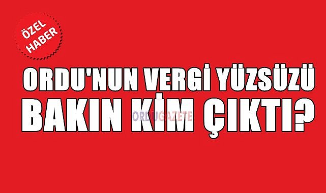 Ordu’nun Vergi Yüzsüzü Paravan Şirket Çıktı! – GÜNDEM