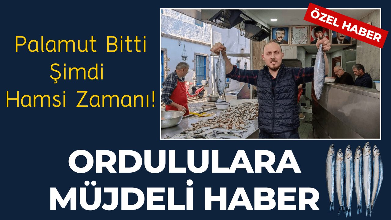 Ordululara Müjdeli Haber Palamut Bitti Şimdi Hamsi Zamanı! – Ordu Olay Gazetesi