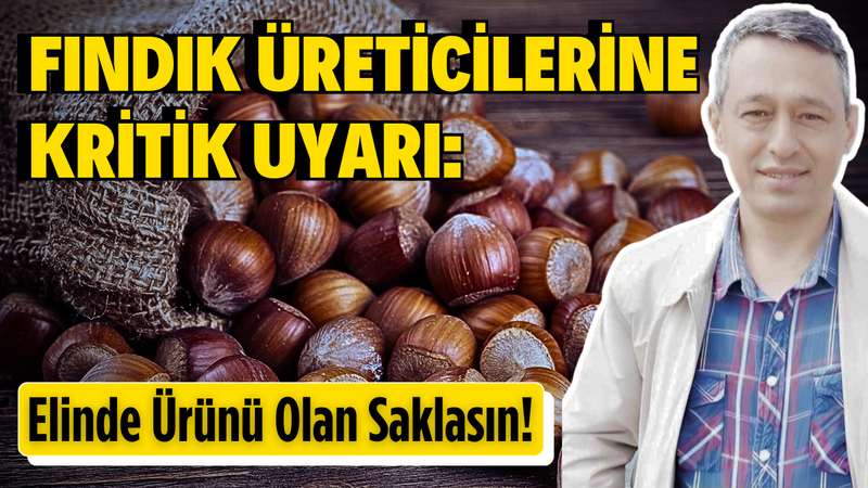 Fındık Üreticilerine Kritik Uyarı Elinde Ürünü Olan Saklasın! – Ordu Olay Gazetesi