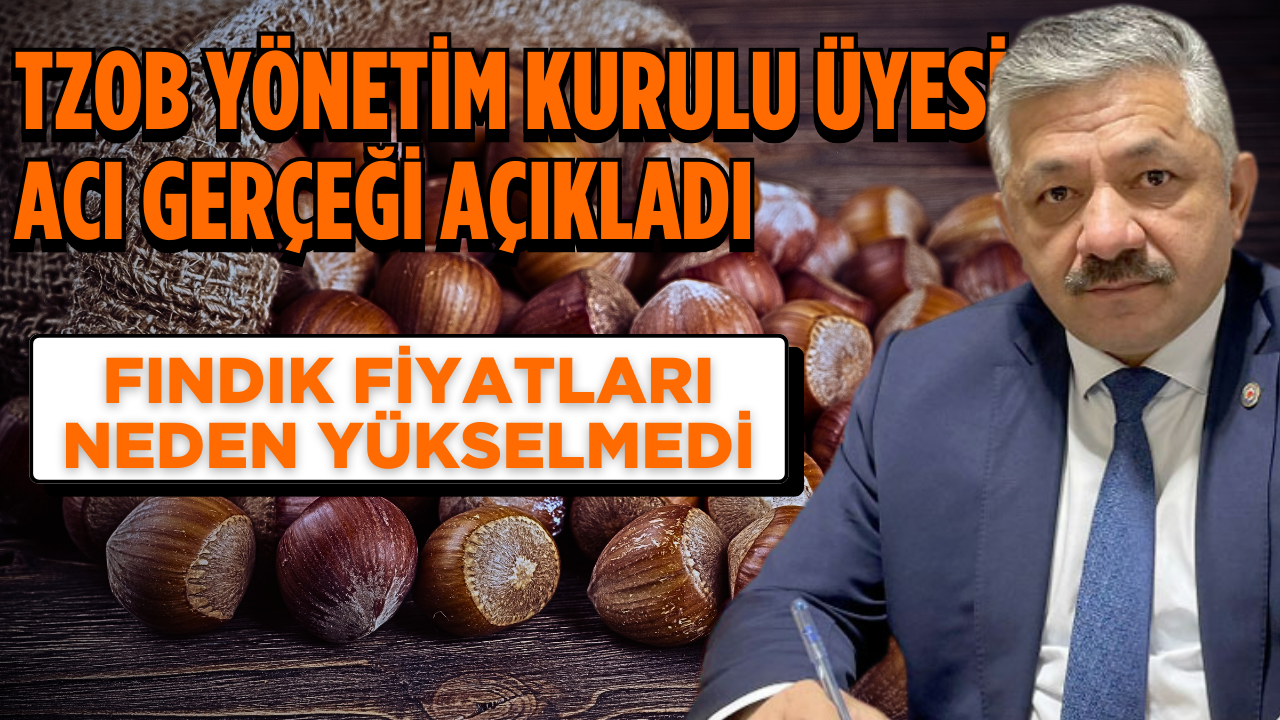 TZOB Yönetim Kurulu Üyesi Acı Gerçeği Açıkladı Fındık Fiyatları Neden Yükselmedi – Ordu Olay Gazetesi