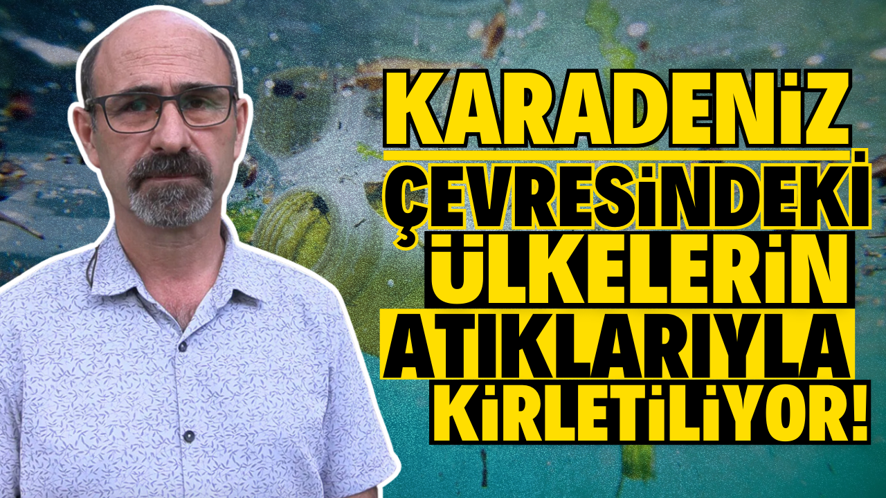 Karadeniz Çevresindeki Ülkelerin Atıklarıyla Kirletiliyor! – Ordu Olay Gazetesi