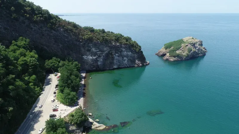 Türkiye’de Tepeli Karabataklarının Tek Yuvası Ordu’da! – Ordu Olay Gazetesi