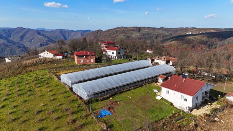 Ordu’da üreticilere sera naylonu desteği